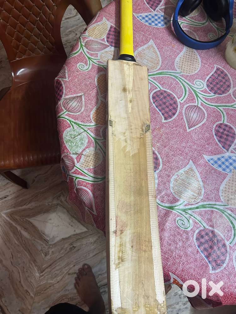 Cricket Bat
