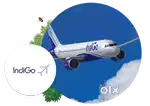 Intrested candidates can apply for indigo airlines authority
