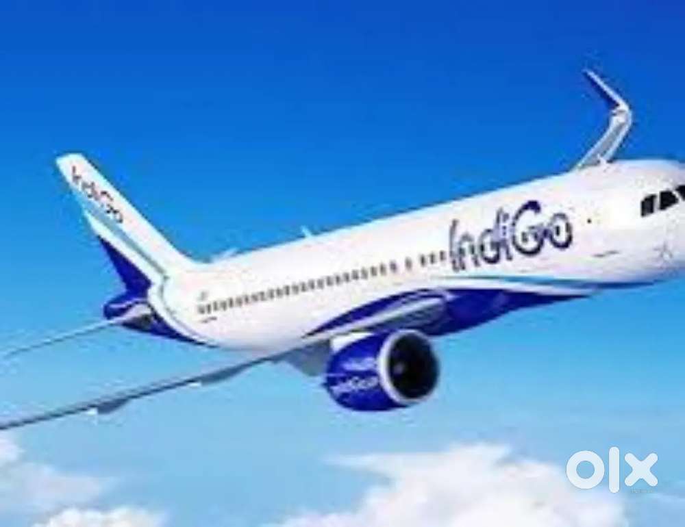 Fresher Candidate Apply Fast In IndiGo Airlines Ground Staff Jobs