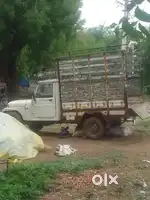 मॅक्स पिकअप
