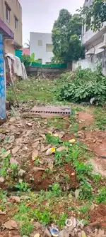 Near Adarsha Vidyalaya ,Gollapeta