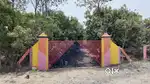Highway Mango Farms