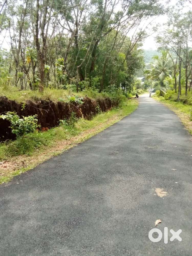 73 സെന്റ് റോഡ് സൈഡ്, റബ്ബർ തോട്ടം