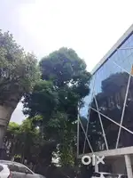 Fully Furnished office Rent  MG Road