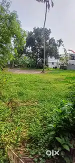 16 cent / commercial/House plot at Ernakulam.