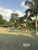 Noida Farm Land sec 135  Start 65 lac near delhi call me for detail