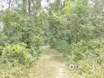 Agriculture land with kumki