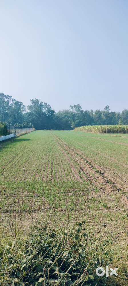 “1800 Gaj Luxury Farm House Land – For sale Near Ring Road Kharar