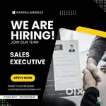 We are hiring sales executive with attractive salery package