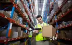 Freshers Wanted for Logistics Support Roles – ₹21,000 Salary!