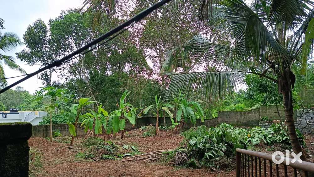 8.3 cents housing square plot for sale @ Ooruttambalam