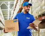Courier Delivery Boy
