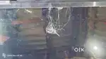 Samsung LED TV  smart