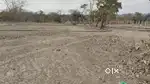 Agriculture land