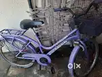 Ladis cycle