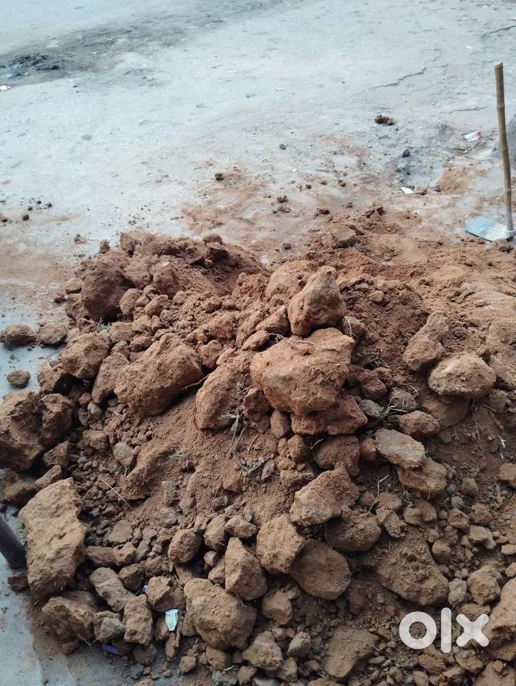 Near Circuit house / Central  school 3 BHK House For Rent First Floor