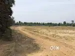 Plot For Sale Urgent Basis