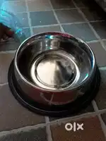 Dog  cat food bowl