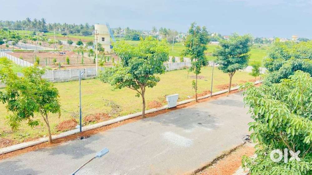 IMMEDIATE REGISTRATION A KHATA BIAAPA APPROVED