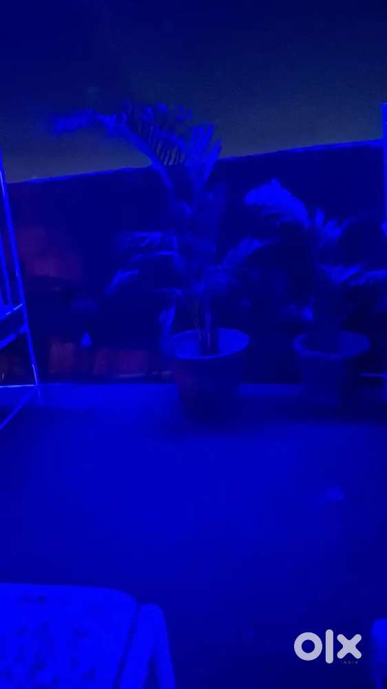 Cafe rent pad dena hai