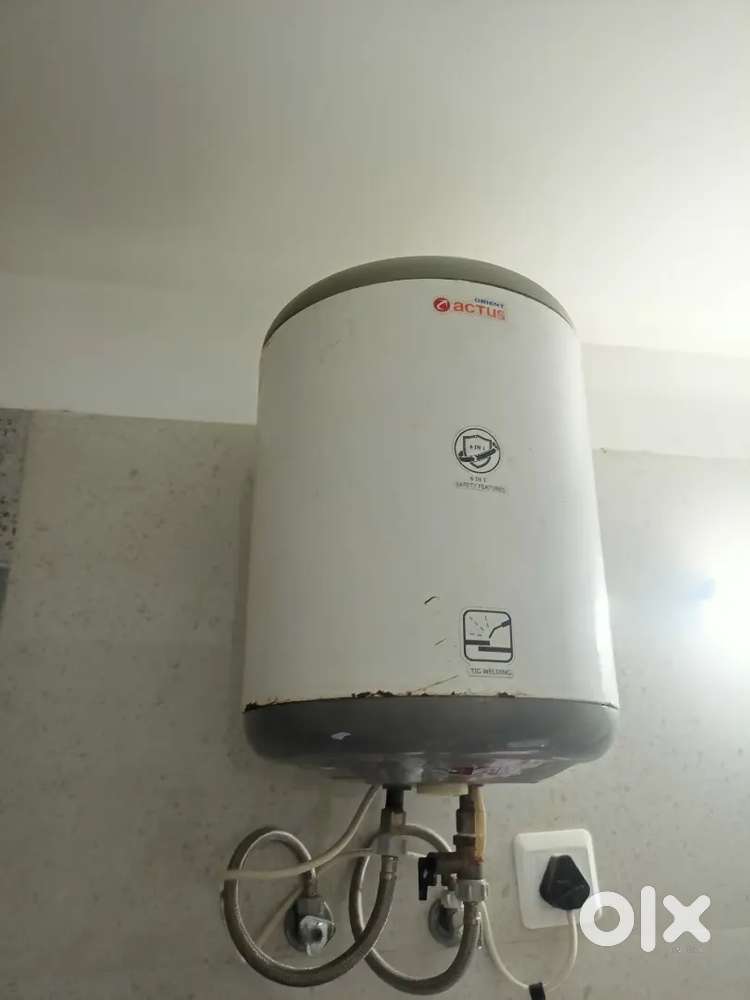 Orient brand Geyser