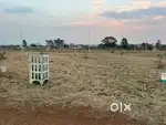 Plot for sale near chorala
