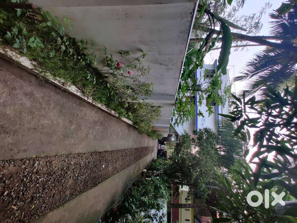 Apartment for rent- Ground floor