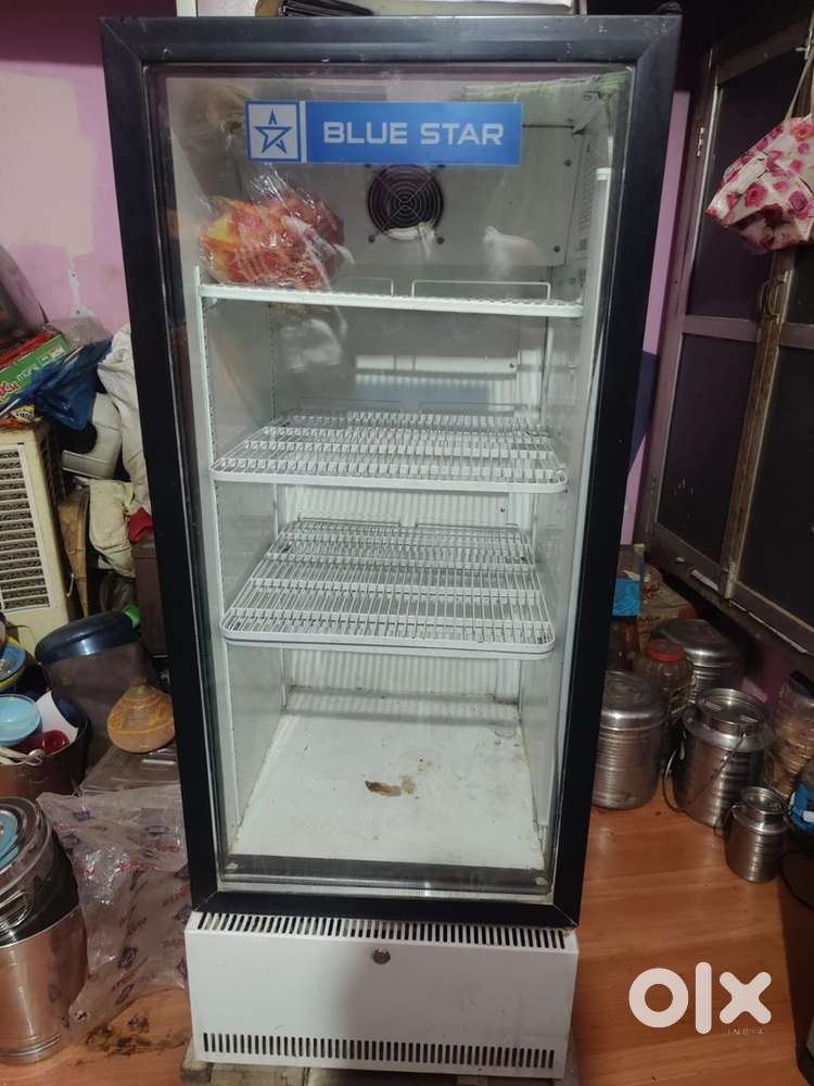Commercial 300Ltr Blue Star Fridge