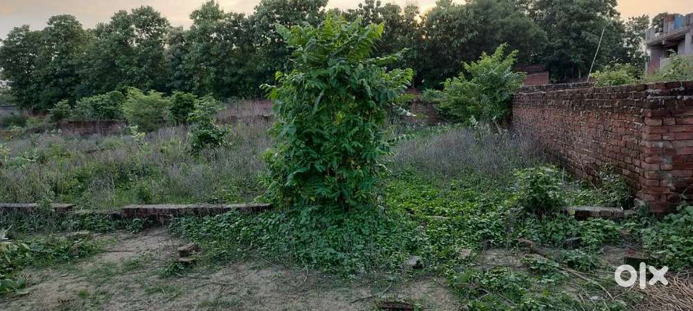 PLOT IS AVAILABLE FOR SALE