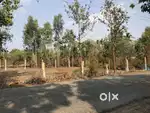 PLOT FOR SALE