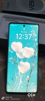 Vivo v29 pro.