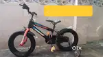 Child Cycle