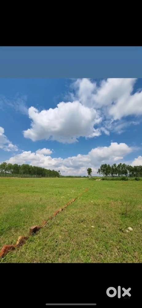 Plots available (100-150-241-816)sq feet