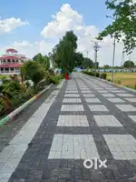 Golkhedi Beraisiya Bina pur