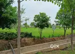 TNC RERA Plots Wallfort Greens