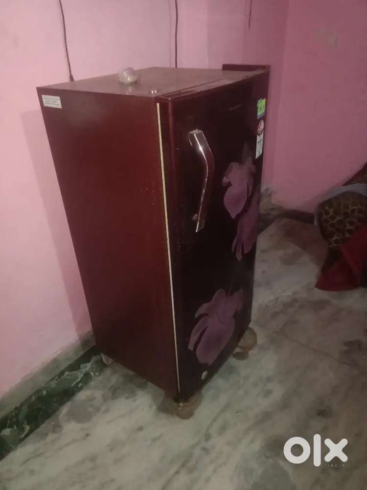 Sangam vihar Wazirabad gali no 10/8 yadav chowk