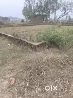 350 गज कॉर्नर प्लॉट बिक्री हेतु, निकट चैतिया फार्म, मौजा शाहपुर