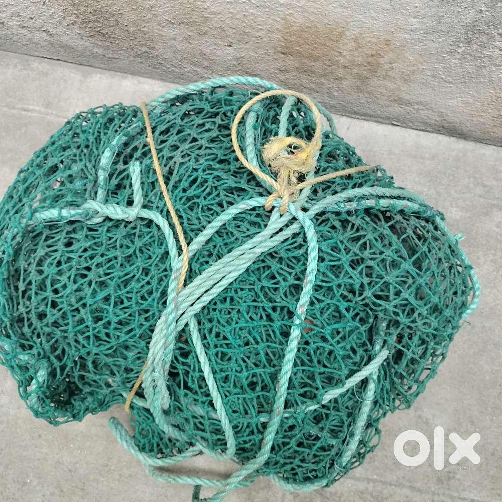Coconut tree net / mesh