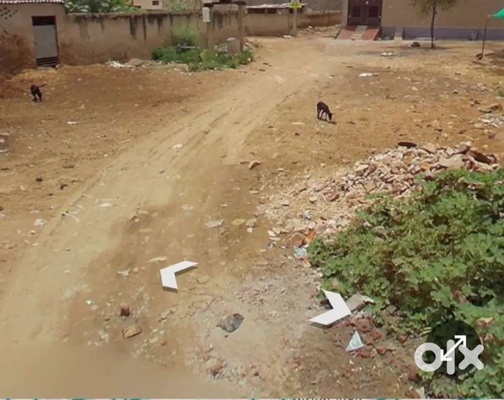 New indra colony near clc chowk piprali road sikar