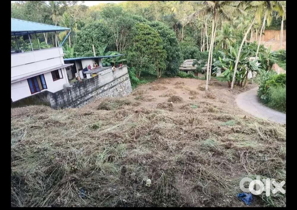 LAND FOR SALE NEAR POTHENCODE