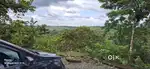 2 Acres for Sale near Nadavayal – Pulpally Road, Wayanad