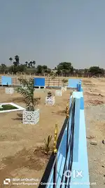 VERY LOW BUDGET FRUIT TREES FARM LAND IN COIMBATORE