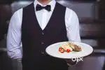 Wanted Restaurant buddies  @ Branded Resturent
