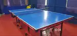 Table Tennis Table