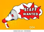 Urgent need a staff boy for Computer shop