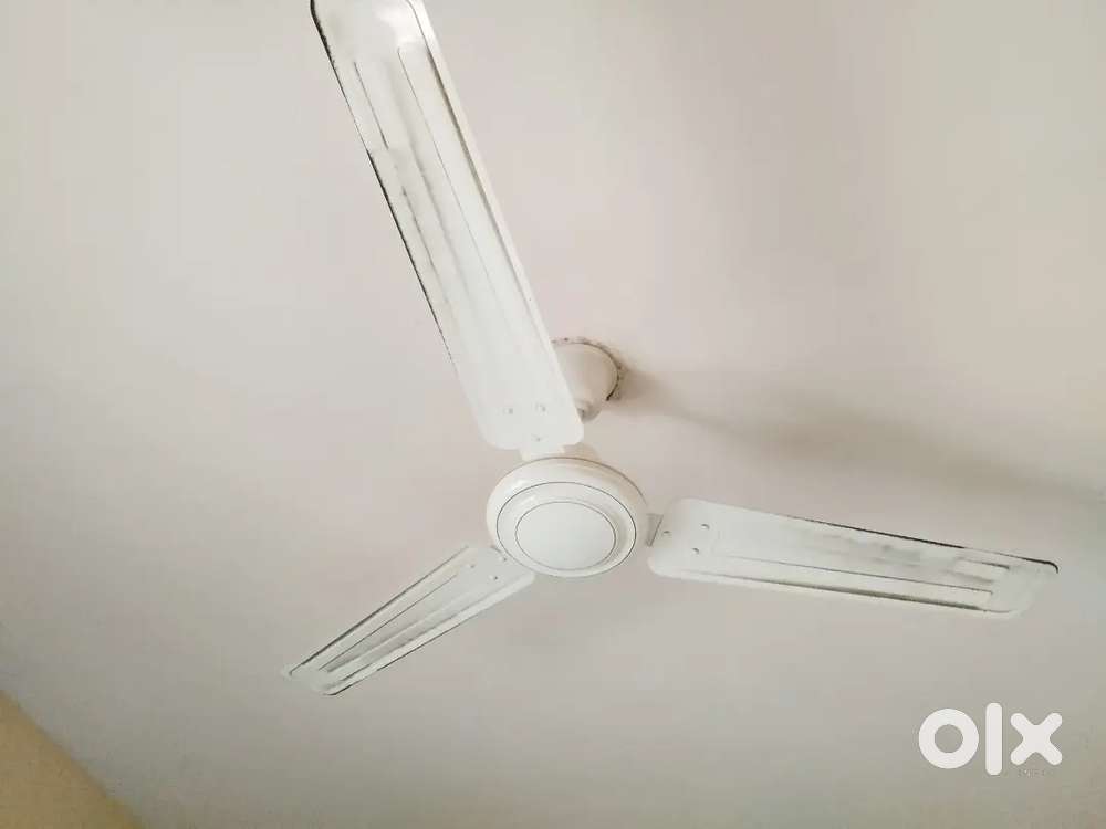 Ceiling fan