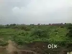 NA Residential Plot For Sale in Chavaj on urgent basis.