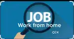 Work from home based online data entry job note this