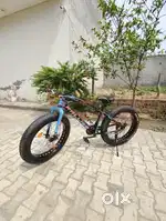 Rallies fatboy 1.0 cycle