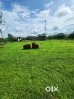 Plot for sell in simraha ward no 24
